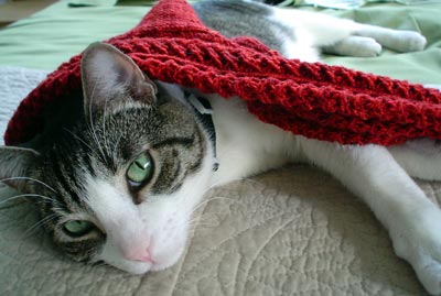 Rocky One-sock